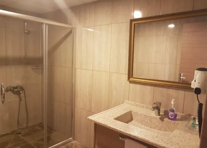 فندق Sedapark بيغا